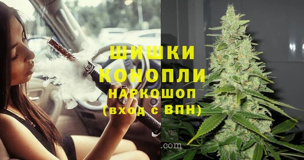 СК Богородицк
